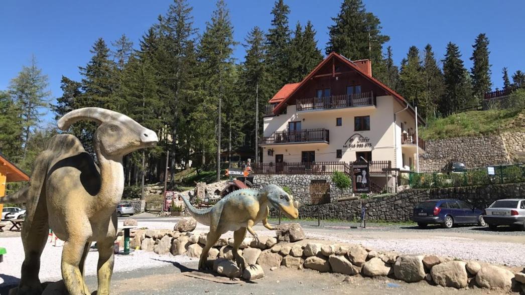 Safir Przy Samym Wyciagu Bed & Breakfast Karpacz Dış mekan fotoğraf