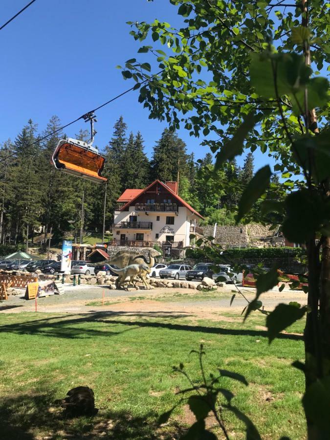 Safir Przy Samym Wyciagu Bed & Breakfast Karpacz Dış mekan fotoğraf