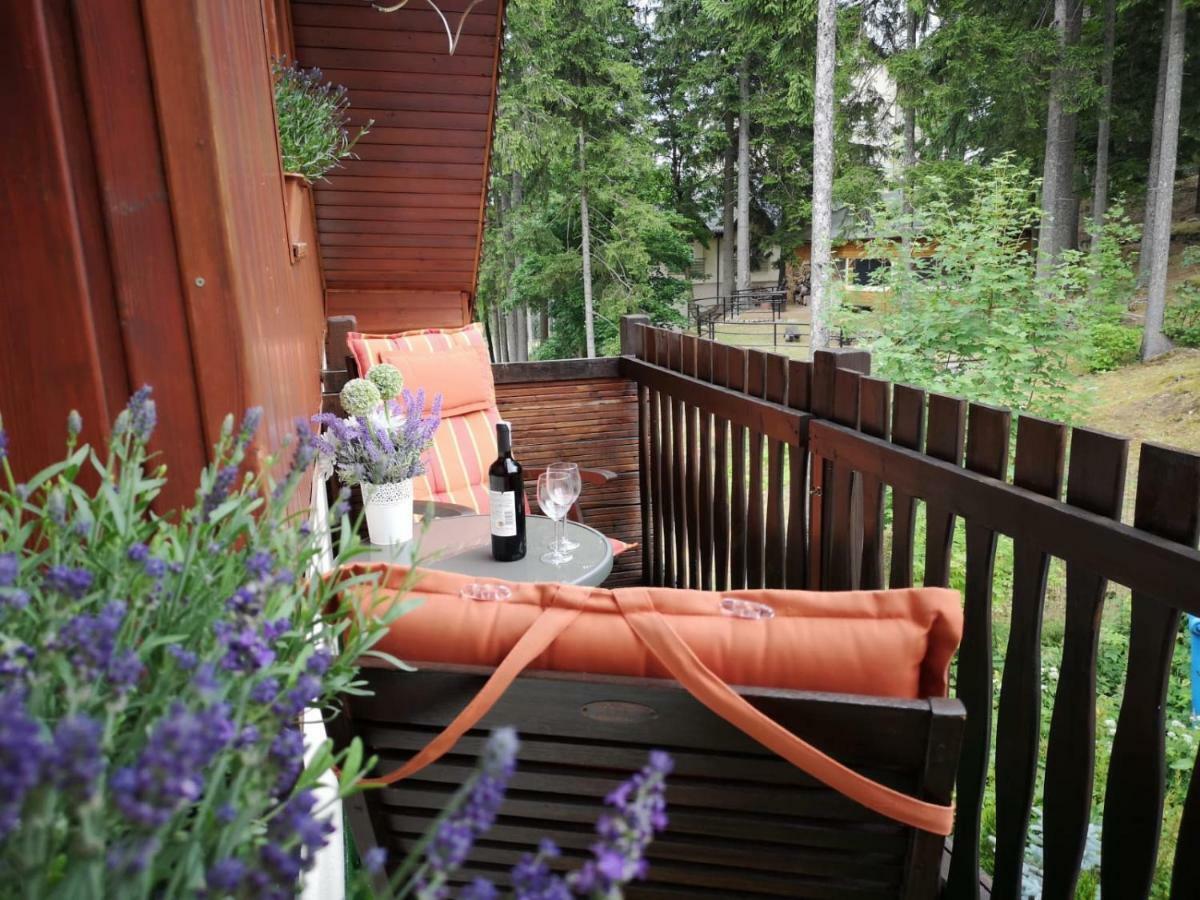Safir Przy Samym Wyciagu Bed & Breakfast Karpacz Dış mekan fotoğraf