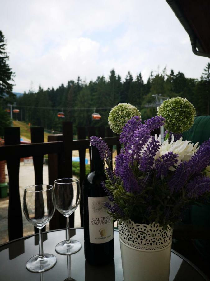 Safir Przy Samym Wyciagu Bed & Breakfast Karpacz Dış mekan fotoğraf